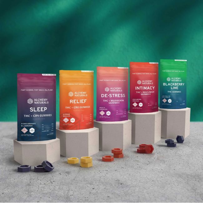 ALCHEMY NATURALS CBD 100MG 2PK GUMMIES 20CT/ BOX - Image 2