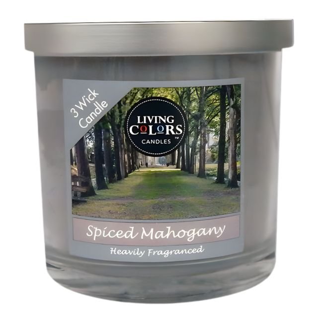 CANDLE1_2026-02-22-CANDLE1.jpg