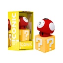 ICONICMUSHROOM_2026-02-13-ICONICMUSHROOM005.jpg