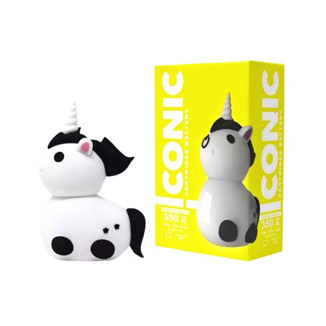 ICONICUNICORN_2026-02-13-ICONICUNICORN004.jpg