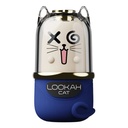 LOOKAHCATBATT_2026-02-13-LOOKAHCATBATT03.jpg