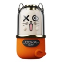 LOOKAHCATBATT_2026-02-13-LOOKAHCATBATT04.jpg