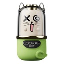 LOOKAHCATBATT_2026-02-13-LOOKAHCATBATT07.jpg