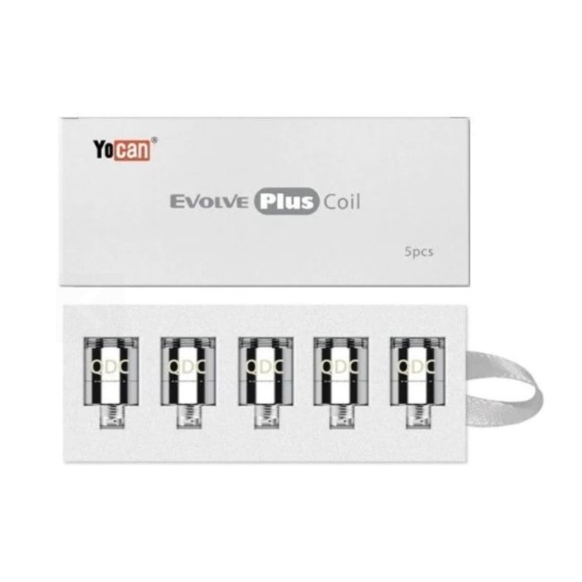 EVOLVEPLUSQURTZ_2026-04-12-EVOLVEPLUSQURTZ1.jpg