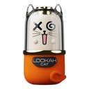 LOOKAHCATBATT_2026-04-21-LOOKAHCATBATT04.jpg