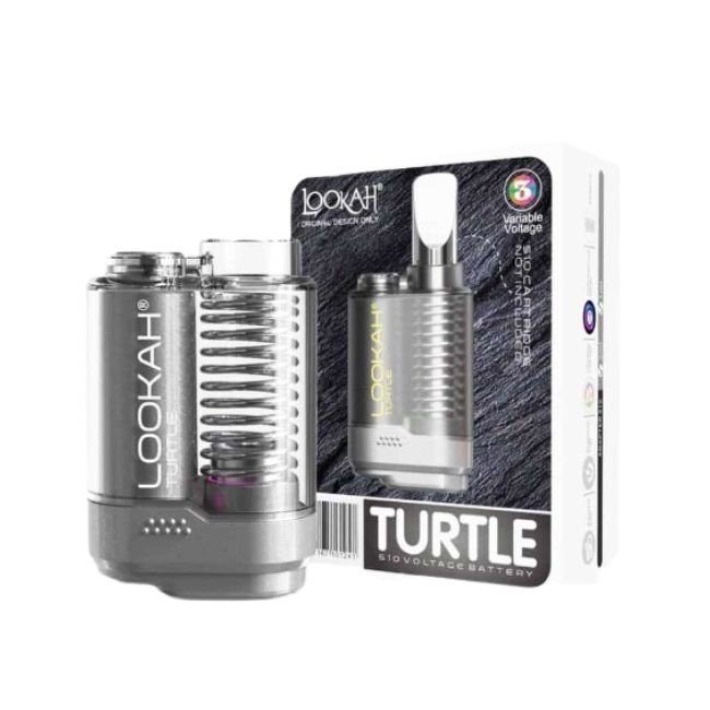LOOKAHTURTLEBT_2026-04-21-LOOKAHTURTLEBT03.jpg