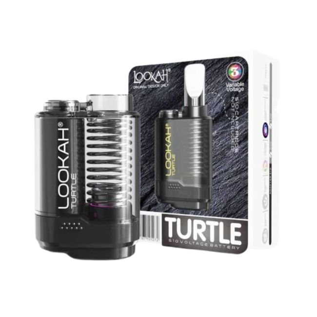 LOOKAHTURTLEBT_2026-04-21-LOOKAHTURTLEBT01.jpg