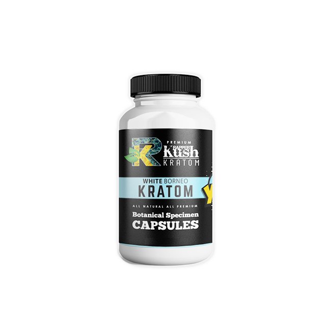 RK40CT_2026-02-17-RK40CT.jpg