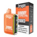 DRAGON20KDIS_2026-06-20-DRAGON20KDIS03.jpg