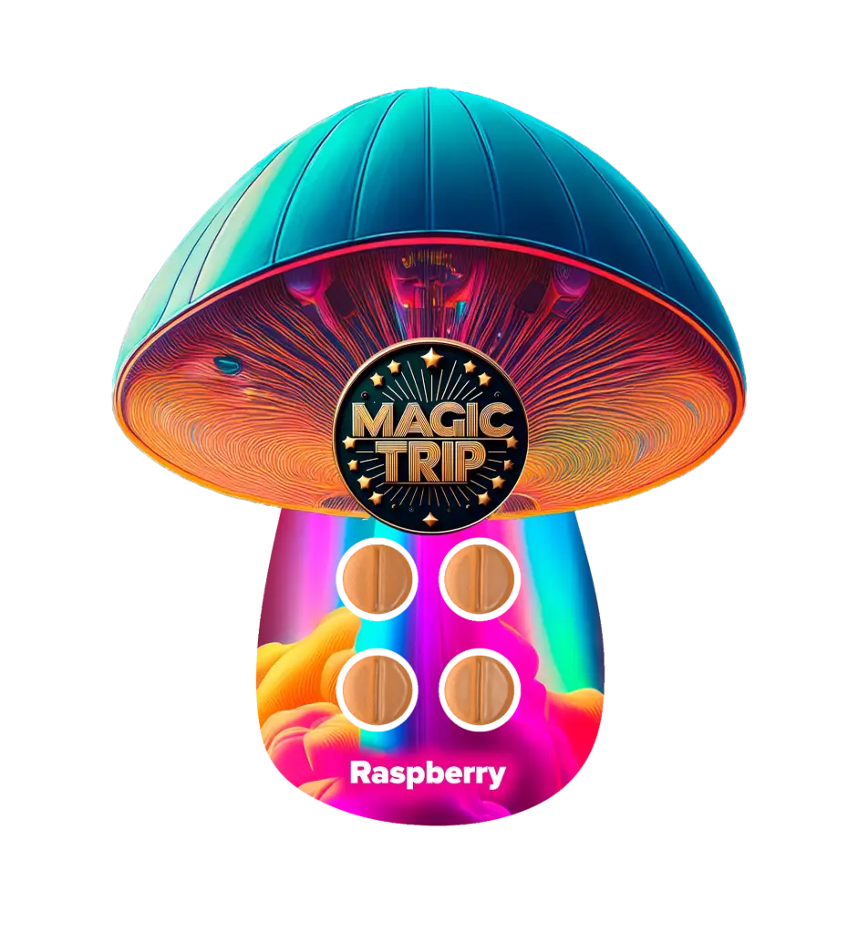Magic Trip - Mushroom- 4 Tablet Blister Pack