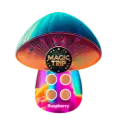 Magic Trip - Mushroom- 4 Tablet Blister Pack