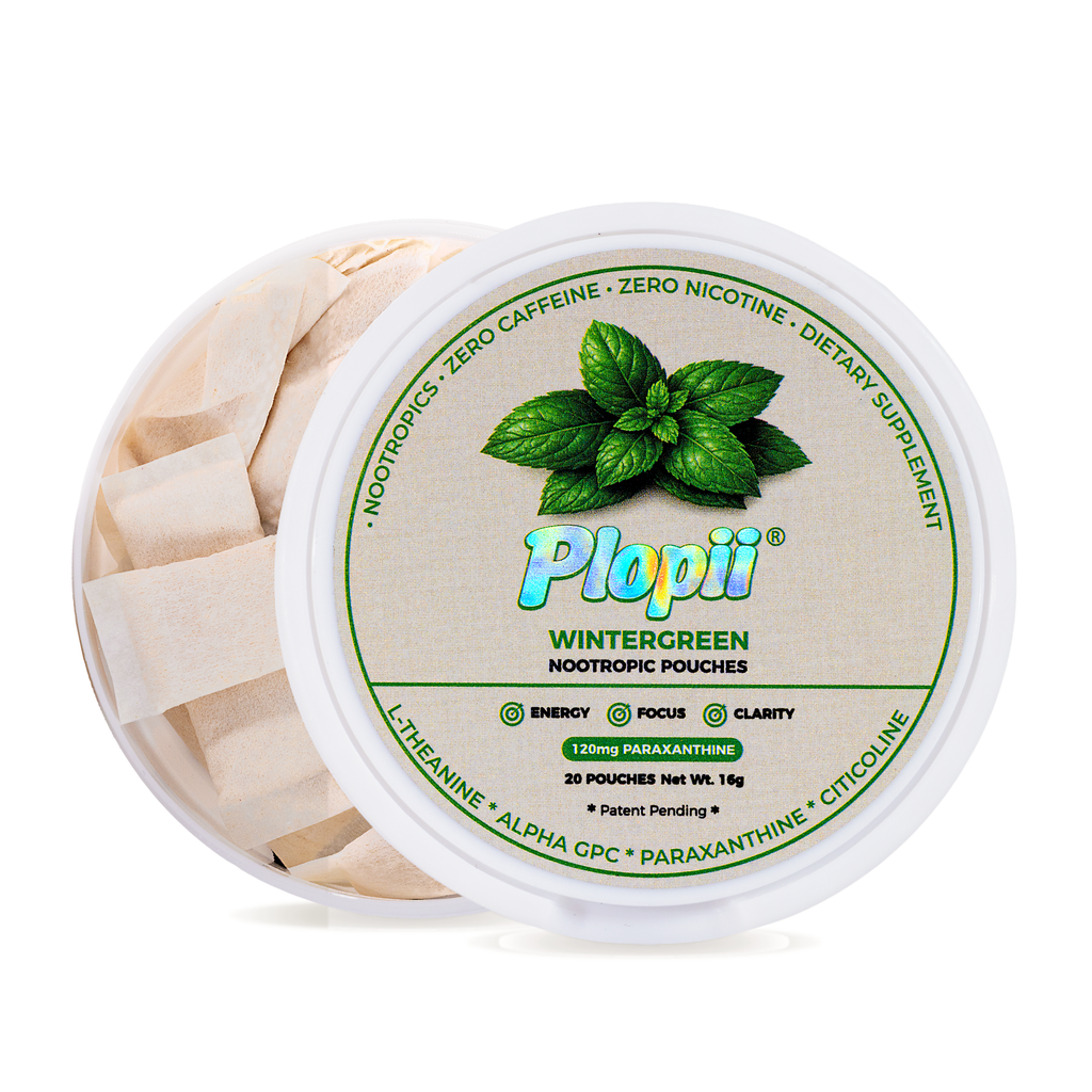 Plopii Focus Nootropic Pouches, 120mg Paraxanthine, Nicotine-Free, Caffeine-Free | Alpha GPC, Citicoline, L-Theanine, Ginseng | Vitamin B6 + B12 | Plant-Based Energy Pouches | Brain Vitamins (Wintergreen)