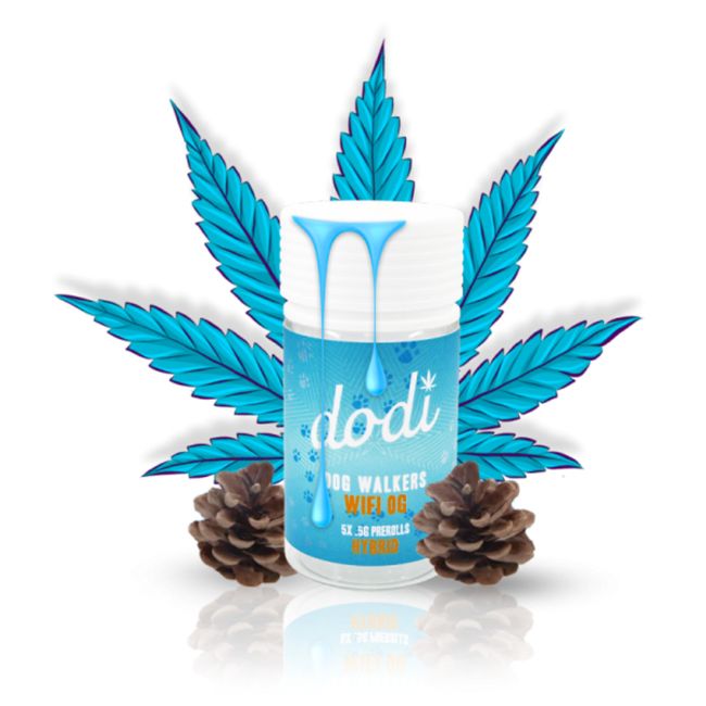 DODI DOG WALKERS 0.5GM PRE ROLLS JOINTS 5CT/ JAR