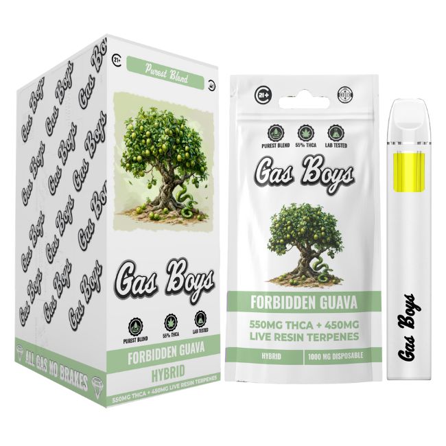 GAS BOYS PUREST BLEND THCA LIVE RESIN 1GM DISPO 10CT/ BOX