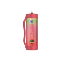 GoldWhip - N2O - Maxi 2000 - Watermelon
