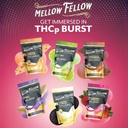 MELLOW FELLOW THCP BURSTS 2.5MG DESSERT FILLED EDIBLE 30CT / BOX
