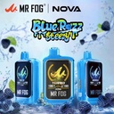 MR FOG NOVA BLUE RAZZ STEEZY SERIES 5% DISPOSABLE (100ML) 36K PUFFS 5CT/ BOX - WATERMELON
