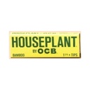 HOUSE PLANT BY OCB 1 1/4 PAPERS + TIPS 24CT/ BOX
