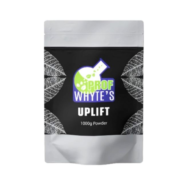 PROF WHYTES 1000GM POWDER BAG