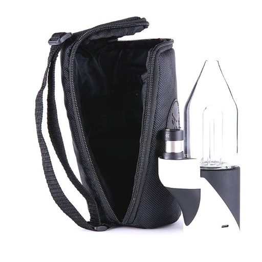 [CARTACARRYCASE] FOCUS V CARTA CARRYING CASE
